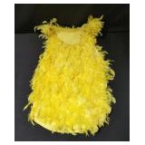 Personally worn yellow feather costume