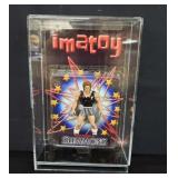 Imatoy Richard Simmons action figure