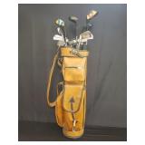Group of golf clubs in leather tour bag