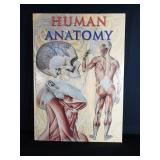 Large Human Anatomy book