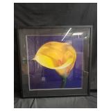 Pair of floral prints