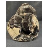 Natural septarian black dragon quartz specimen