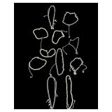 Lot of Dalmata stainless steel necklaces