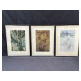 Group of framed vintage photographs of trees