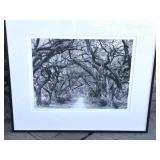 Chris Honeysett signed gelatin photograph