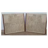 Pair of Dahlquist phased array model DQ-10