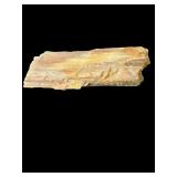 petrified wood