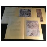 3 vintage Asian prints with folio leaf folders