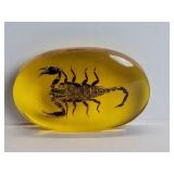 Scorpion encased in a faux amber resin