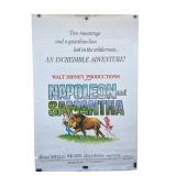 Large 1972 Michael Douglas & Jodie Foster poster