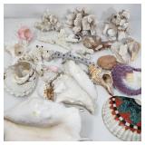 Collection of seashells and corals