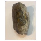 Petrified wood