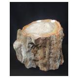 Petrified wood log