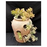 Plastic strawberry pot with succulents