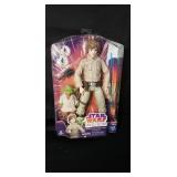 Star Wars Forces of Destiny Luke Skywalker & Yoda