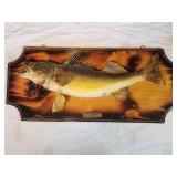 Vintage Canadian Ron Telesky Walleye taxidermy