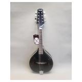 Donner mandolin guitar