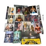 Lot of signed wrestler photos and posters