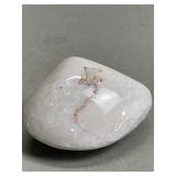 Clam shell opalized fossil