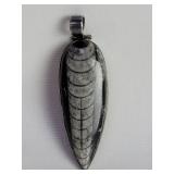 Sterling silver and Orthoceras fossil pendant