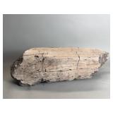 Vintage Petrified wood
