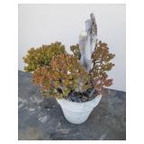 Concrete planter with crassula ovata plant