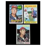 Lot 1960s/70s Ted Williams baseball cards