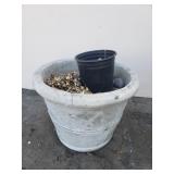 Cement planter