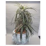 Chinese porcelain jardiniere with faux plants