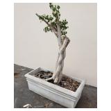 Henri Studio inc. cement rectangular planter with