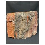 Petrified wood specimen