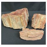 Group of petrified wood specimen