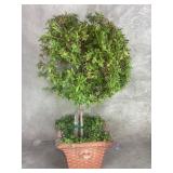 Terracotta square planter with live plants