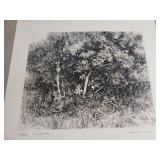 Signed Herbert Fink "Midsummer" etching