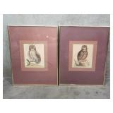 Pair of vintage George Edwards hand colored