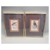Pair of Williams Home Lizars hand colored