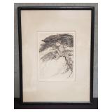 Pencil signed Cornelis Botke "Monterey Cypress"