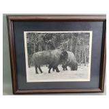 Terry Maddox vintage print 'Wintering Buffalo'