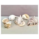 Group of large sun-bleached seashells
