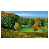 Harbor Springs, MI, True North, Golf, 1 night stay