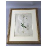 Framed Botanical Illustration of Orchid by W.G. Sm