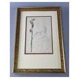 Botanical Illustration in Gilded Frame