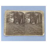 James Zellner Two Mile Turn Mauch Chunk Railroad