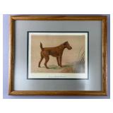 Framed Print of Champion Mile End Barrister