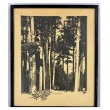 F.L. Jaques (AM1887-1969) In the White Pine Forest