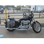 August Estate Finds, Collectibles, and Harley Auction