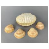 Set of Five Natural Scallop Shells, 3'
