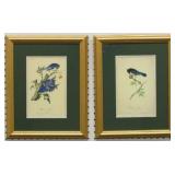 2 Antique birds by John J Audubon