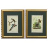 2 Antique birds by John J Audubon