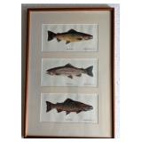 Trout Trio framed Lithograph signed by